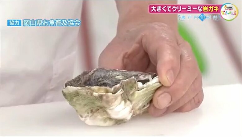 殻が膨らんでいる方を下に