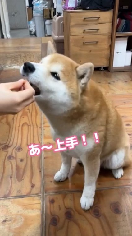 提供：エイトデザイン