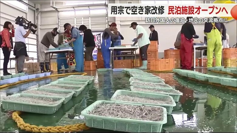 用宗港のシラス水揚げ