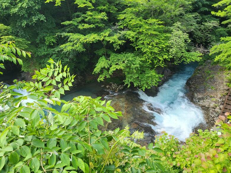 提供：四万温泉観光協会