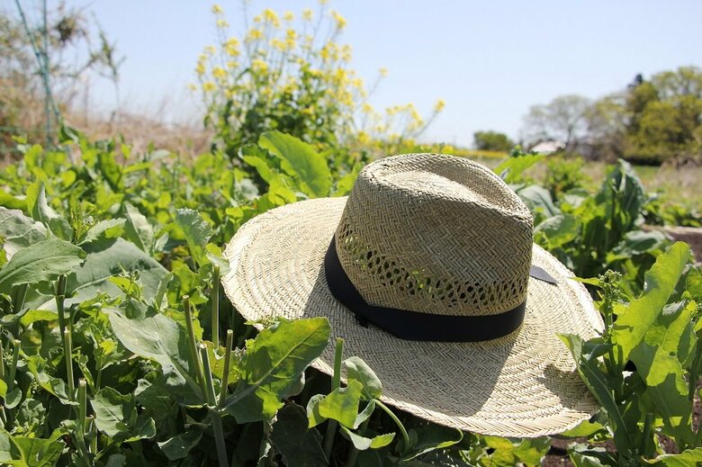 帽子には眼への紫外線をカットする効果も