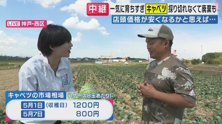 １週間で400円も下がる