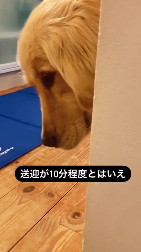 提供：エマさん