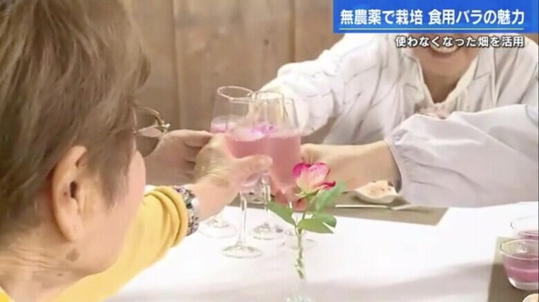 バラのジュースで「カンパーイ」