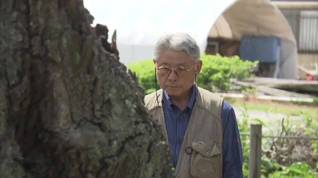 福島県樹木医会の鈴木俊行事務局長
