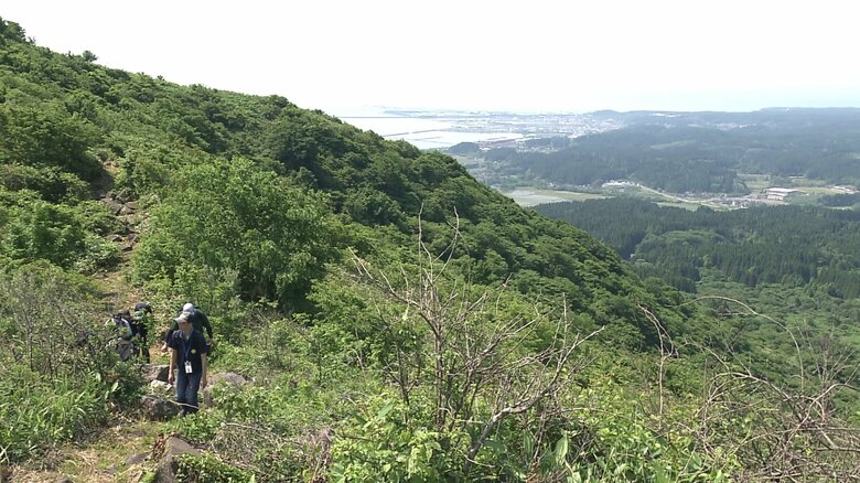「新緑の寒風山トレッキングツアー」のコース