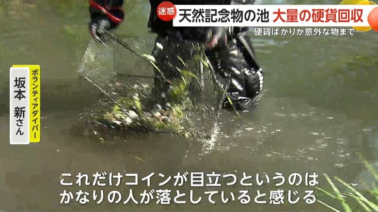 5月にも回収作業が行われたばかりだったが大量のコインが