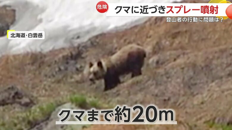 約20mとみられた男性とクマの距離