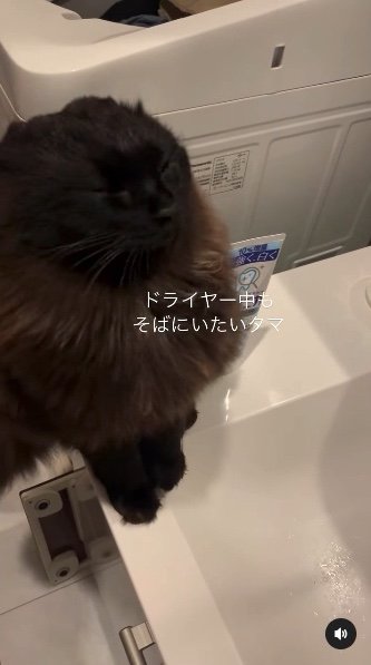 提供：イナタマグラムさん