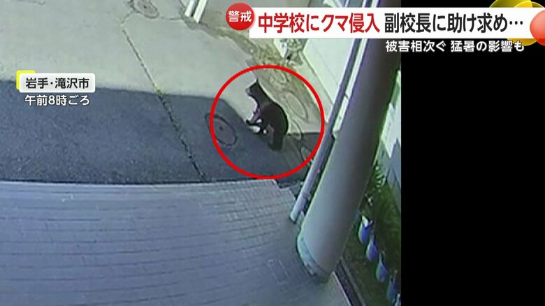 夏休み中の中学校に侵入したクマ