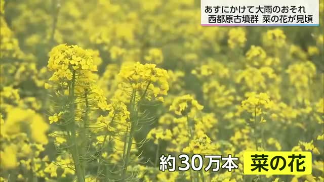 3月31日（火）宮崎の天気　明け方にかけて局地的に雷を伴い激しい雨の恐れ