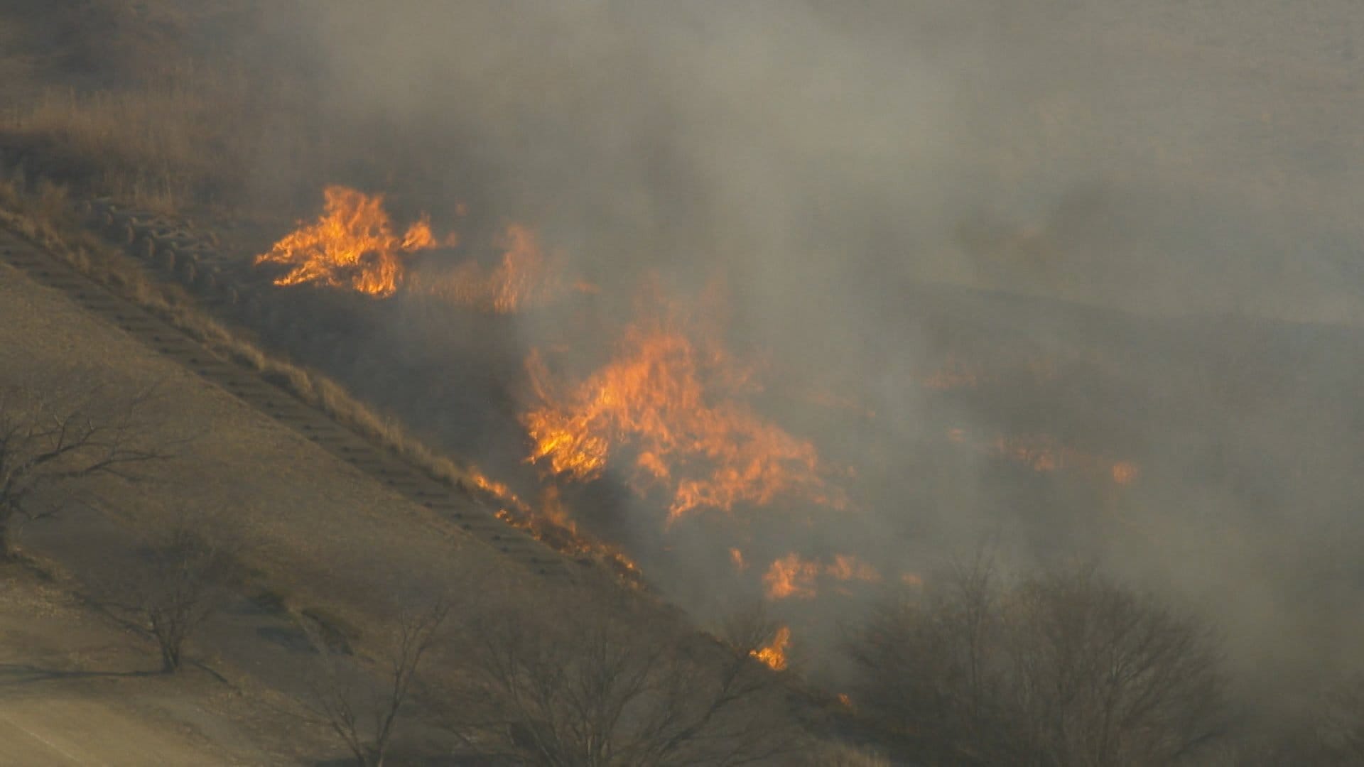 荒川の河川敷で火事 けが人なし　約7時間後に鎮火　埼玉・熊谷市