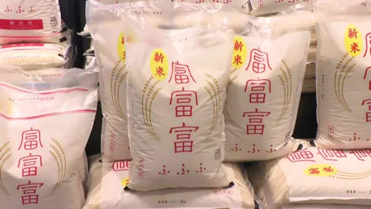 令和8年産 TAKEの虹キラキラ米 新米 美味しい米20㎏ モチ状態2025年
