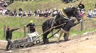 遠野市で2年ぶりに東北馬力大会　“人馬一体”　観客を魅了　岩手県