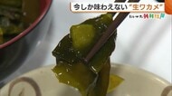 身が厚くシャキシャキ！今しか味わえない“生ワカメ” 海水温上昇も…例年通りの出来・価格も平年並みに 新潟