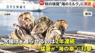秋の味覚“海のミルク”牡蠣に異変…猛暑の影響で生育・水揚げ遅れの異常事態で“サイズ小さい”　福岡・糸島市では“朗報”も