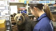 「生き物の魅力を伝えたい」 全国的にも珍しい！ 学生が作る「博物館」 広島大学・総合博物館