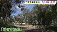 閉幕からまもなく1年　万博会場跡地が公開　パビリオンなど施設の約9割が解体完了　休憩スポット「静けさの森」は今も癒しの空間広がる　「大屋根リング」の一部とともに今後も残る予定