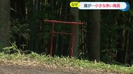「神様が見てるよ」小さな鳥居があちこちに　近くに神社もなく…そのナゾを調査した【長崎発】