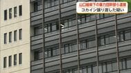 20代だった女性にコカイン譲り渡した疑い　山口組傘下の暴力団幹部ら逮捕　富山市