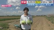 「今、春キャベツが取れすぎている」　大豊作もこれから価格が高騰する？　冬の温暖化が影響　一斉に収穫期を迎えた春キャベツ　農家「美味しい春キャベツいま食べて！」