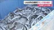 秋の味覚・サンマが小名浜港に初水揚げ 三陸沖で獲れた約11トン 高値で取り引き 福島・いわき市