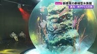 幻想的な劇場型水族館にうっとり、“飲むサラダ”が話題「世界一の朝食」を堪能…女子アナ2人で行く1泊2日の神戸旅