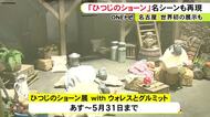 英国発の人気キャラ「ひつじのショーン」の展覧会 撮影で使われた人形やセットなど約100点 名古屋パルコで28日から