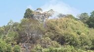 「燃え広がっている」一夜明けて鎮火…宇和島で山林火災　麓でミカンの枝木焼却　警察が関連調べる【愛媛】