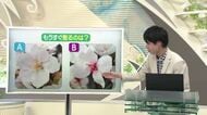 【天気／山形】6日の天気ふりかえり＆もうすぐ散るサクラは？　中村友祐気象予報士の天気予報(1)