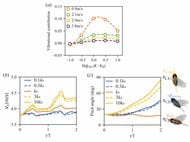 スズメガの飛行安定化メカニズムを解明～受動的な翅(はね)の回転と「振動安定化」が鍵～