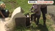 豊かな実り　南城市で稲刈り体験・名護市では新米に舌鼓