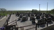 被災地のお彼岸 祖先と故郷に思いを寄せて「供養に来るけど家がないのは寂しい…」<福島県浪江町>