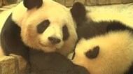 目指すは廃棄物ゼロパーク 環境問題を“自然に学べる”動物園