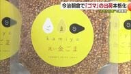 ゴマのおいしさや香りを楽しんで　おせち料理に欠かせない貴重な国産品　今治市で出荷作業進む【愛媛】