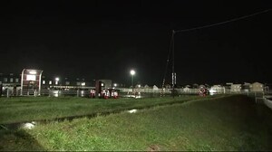 紫波町中心部オガールそばに子グマ2頭 町が警戒続ける<岩手県>