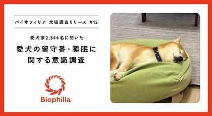 心配で頻繁にペットカメラを見てしまう「見守り疲れ」。出社回帰で増える愛犬の長時間留守番に罪悪感を感じる飼い主は88.6%。