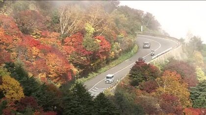 磐梯吾妻スカイラインの紅葉が見ごろに　変わりやすい天気のなか鮮やかな色彩を見せる　福島　