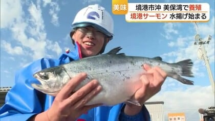 刺身やムニエルがおすすめ！美保湾に春告げる「境港サーモン」初水揚げ　冬の海で成長しプリプリ（鳥取）