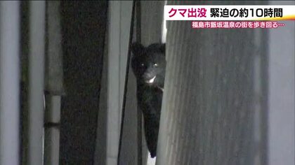 緊迫の10時間…福島・飯坂温泉の立体駐車場にクマ　建物を移動し温泉街を闊歩　山へ立ち去る　　　　　