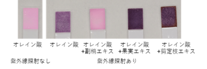 第54回欧州研究皮膚科学会にて発表 副梢エキスの紫外線による皮脂酸化を抑制する研究成果を報告