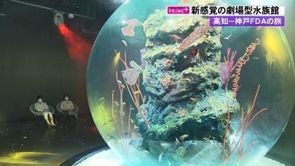 幻想的な劇場型水族館にうっとり、“飲むサラダ”が話題「世界一の朝食」を堪能…女子アナ2人で行く1泊2日の神戸旅