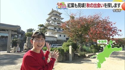 「亥の子の日は楽しすぎてやばい」　今治で復活した伝統行事と新鮮海鮮の魅力　シリーズ＃媛さんぽ【愛媛発】