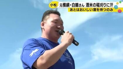 元横綱・白鵬が稲刈り「後は農口杜氏に託すのみ」　小松市の酒蔵で酒米・山田錦を刈り取る