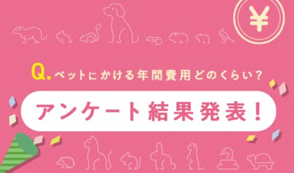 2024最新版 ペットにかける年間支出調査