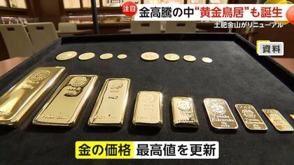金のパワーもらえそう」50本ズラリ「黄金鳥居」が話題…伊豆・土肥金山