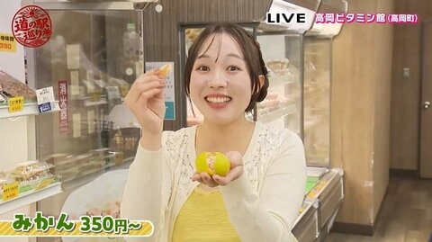 道の駅めぐり第1弾！宮崎県初の道の駅「高岡ビタミン館」海軍カレー起源の歴史と絶品ご当地グルメ　ビタミンの父・高木兼寛ゆかりの品も