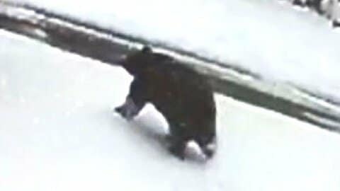 「クマ！クマ！クマ！おーい」　温泉街で雪かき中に襲われ重傷　直前に別の住民も鉢合わせ…複数の防犯カメラが捉える　長野・野沢温泉村