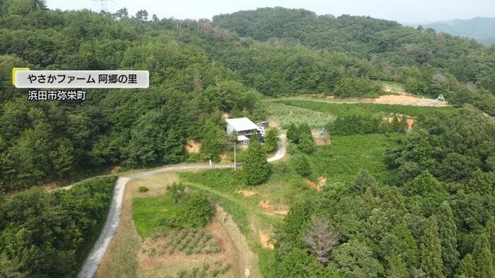 島根県西部 浜田市弥栄町に広がる農場