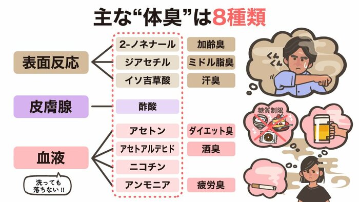体臭の原因になっている「皮膚ガス」のにおい成分(関根教授提供の資料をもとに作成)